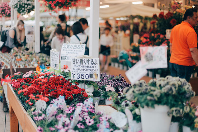 あしかがフラワーパーク　花うりば