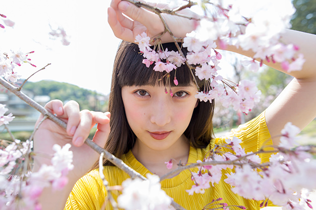 赤蛙公園　桜とはましゃか