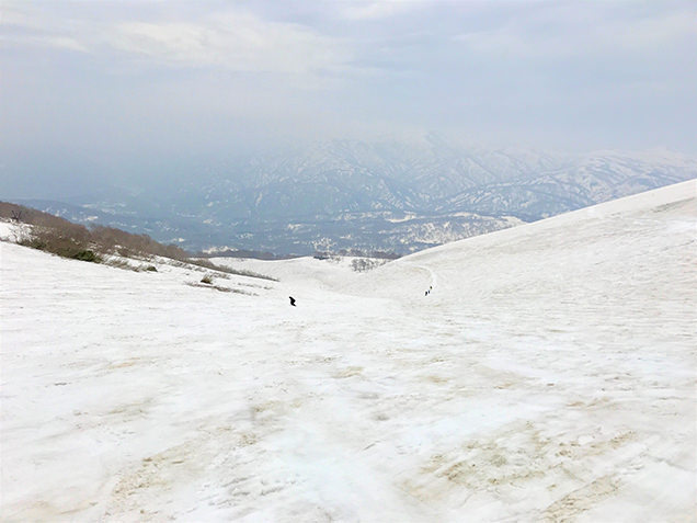 月山スキー場　ゲレンデ