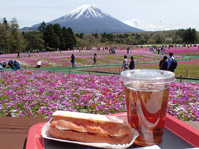 桜カフェ FUJIYAMA SWEETS　桜エクレール