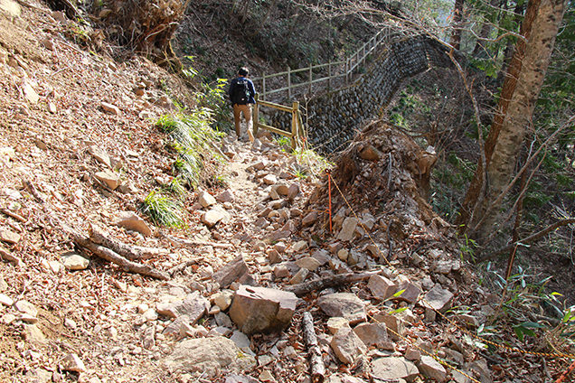奥鬼怒歩道　山道