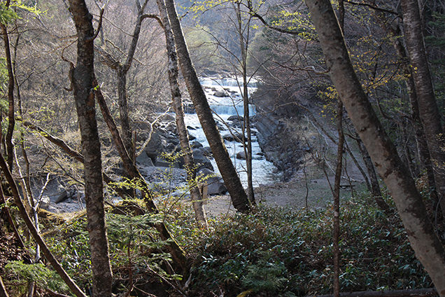 奥鬼怒歩道　川沿い