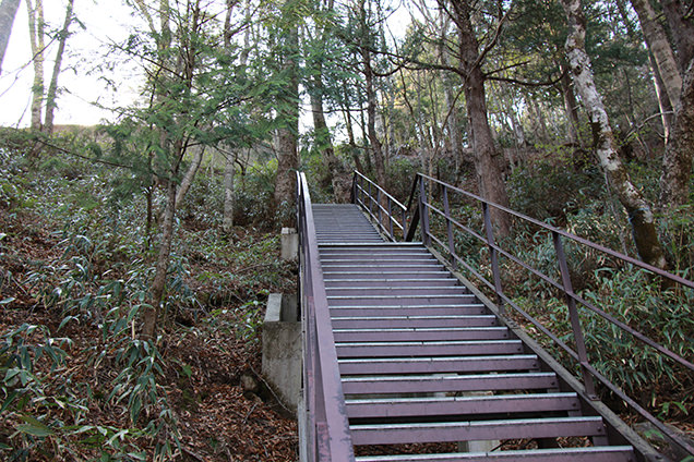 奥鬼怒歩道　階段