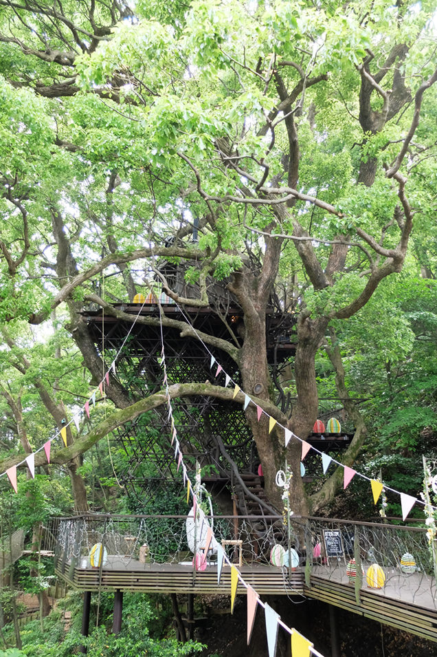 星野リゾート リゾナーレ熱海　森の空中基地 くすくす　ツリーハウス