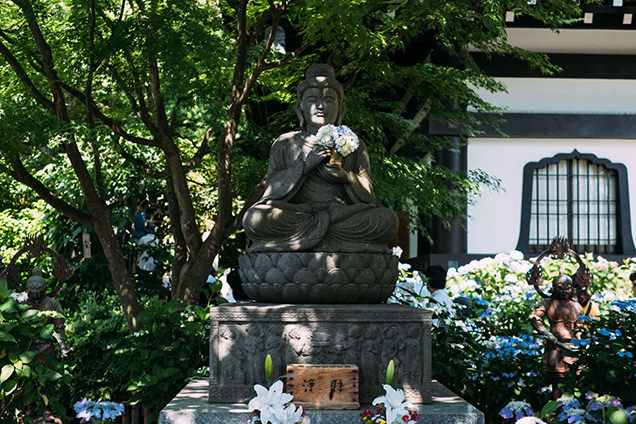長谷寺　仏像とあじさい