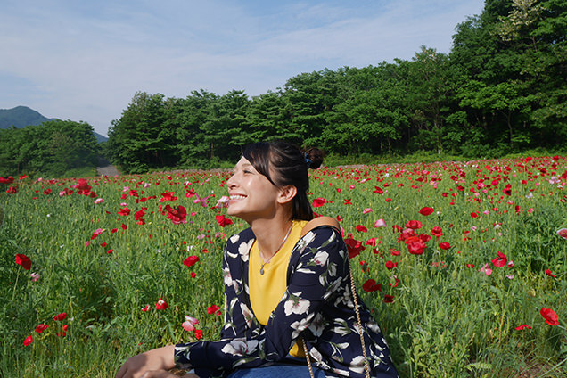 老神温泉　ポピー畑
