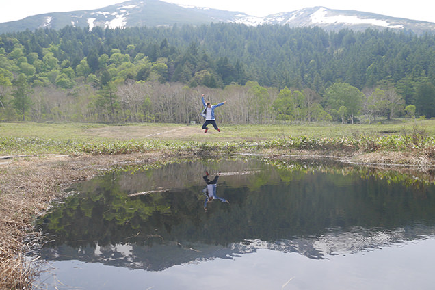 尾瀬　研究見本園