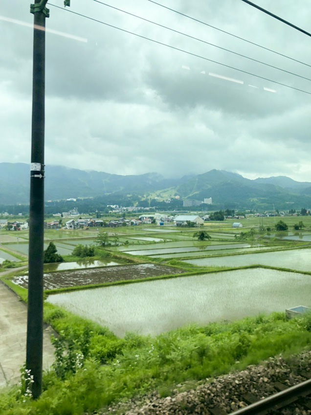 ほくほく線　車窓からの田園