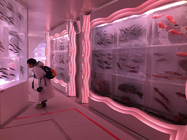 気仙沼駅　「海の市」で氷の水族館