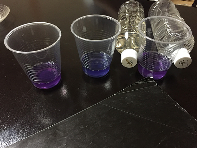 紫キャベツ液実験画像