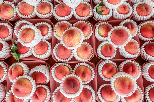 まるせい果樹園の桃