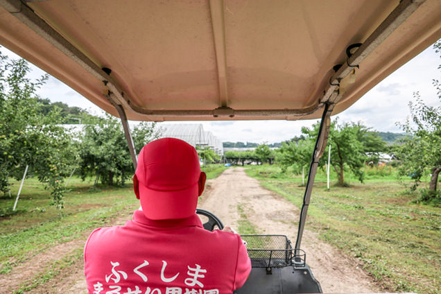 まるせい果樹園の社長