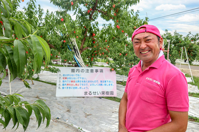 まるせい果樹園社長、佐藤さん