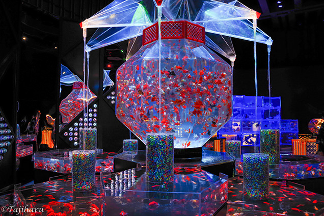 アートアクアリウム2018　作品