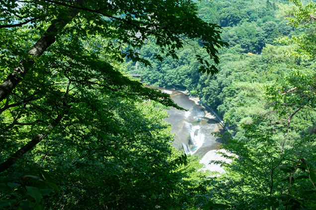観瀑台からの眺め