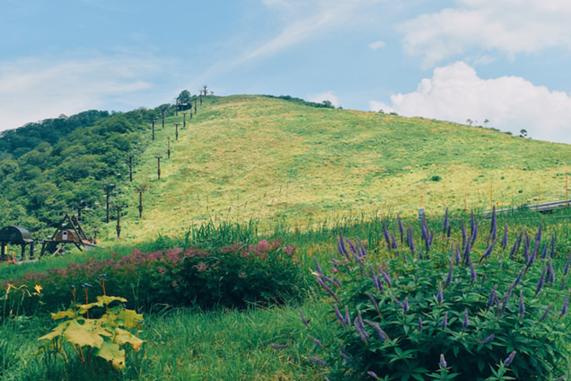 谷川岳天神平の自然と草花