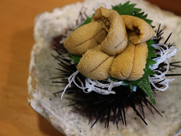紫ウニ