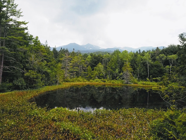 「逆さ乗鞍」が映る牛留池