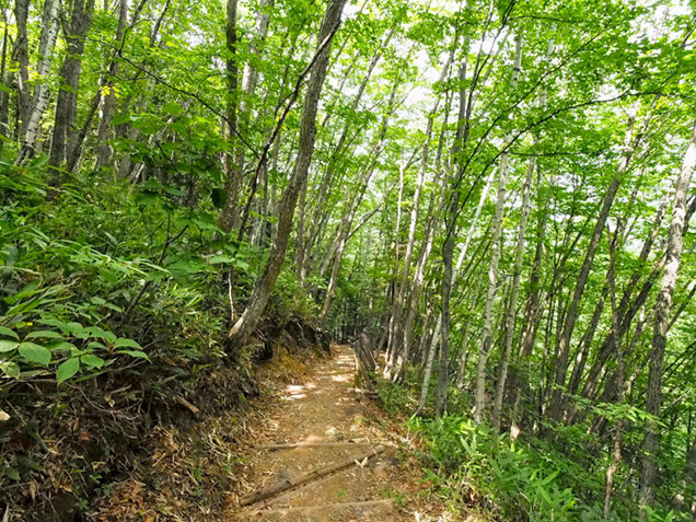 乗鞍高原の登山道
