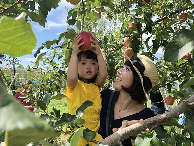 原田農園でりんご狩り
