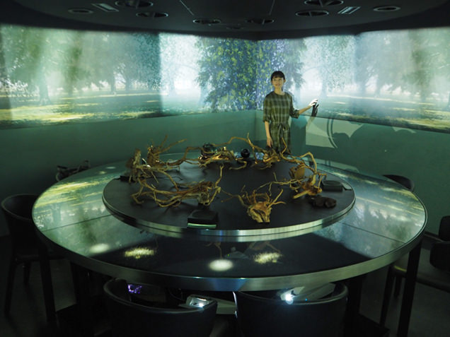 「木の根の世界」がテーマの地下空間