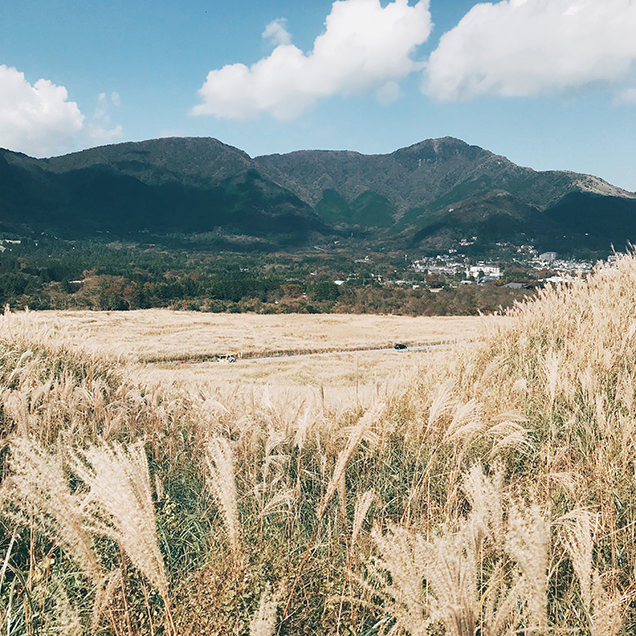 仙石原すすき　スマホ　撮影　ポイント