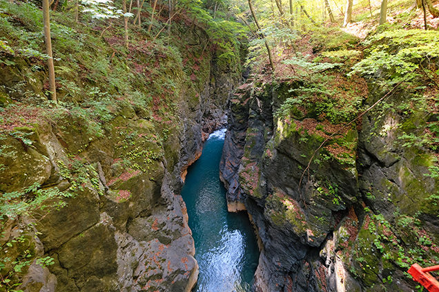 鹿飛橋から見た八丁暗がりの幽谷。ものすごく狭い