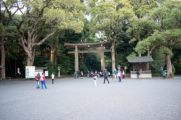 明治神宮の南参道入り口