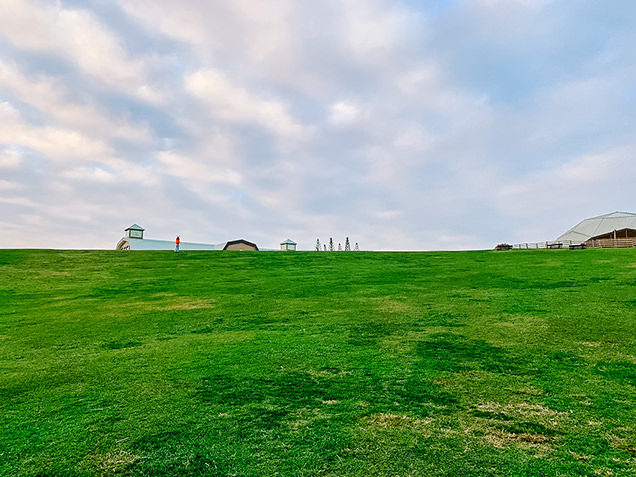 千葉　マザー牧場　自然