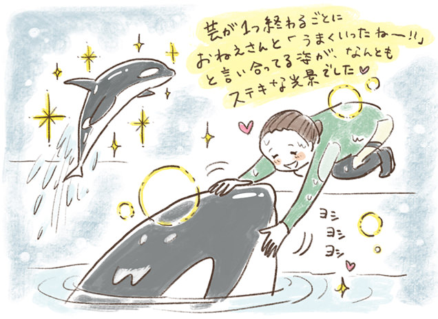 幻想的なシャチのナイトパフォーマンス