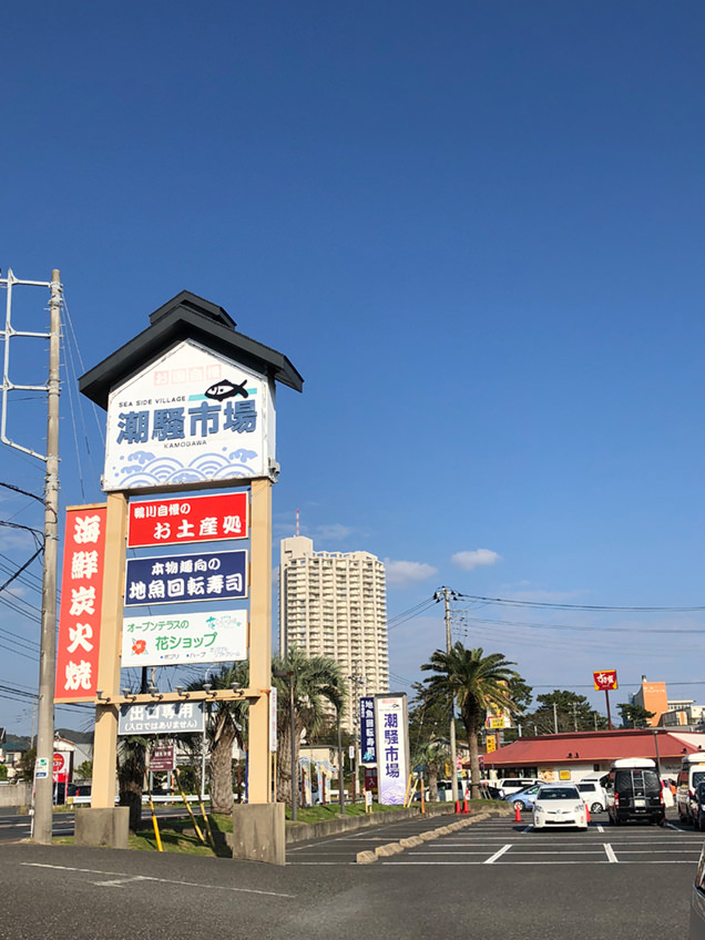 安房鴨川駅　潮騒市場　ランチ