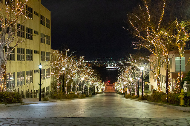 八幡坂からの景色