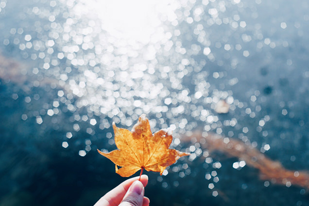 星野リゾート　青森屋　公園