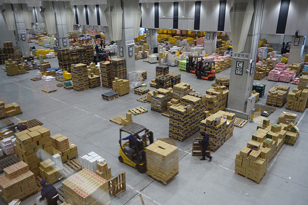 豊洲市場見学ツアー