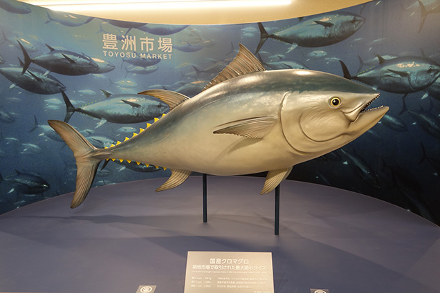 豊洲市場見学ツアー