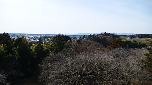 埴輪からの眺め