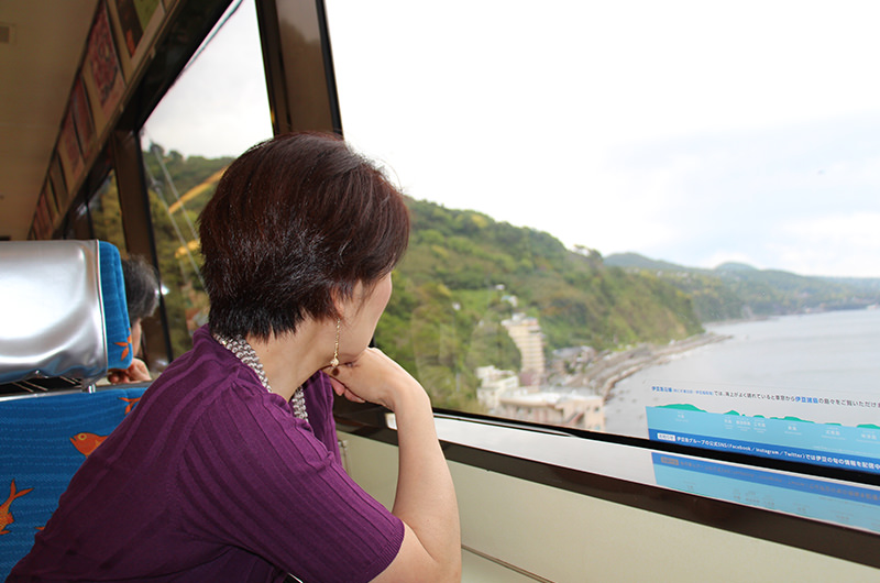 伊豆急行線の車窓