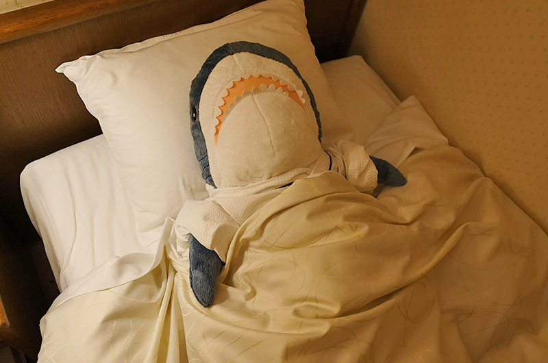 サメのぬいぐるみと眠る