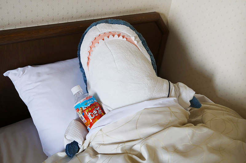 ホテルで眠るサメ