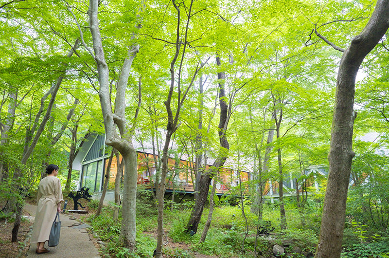 藤城清治美術館