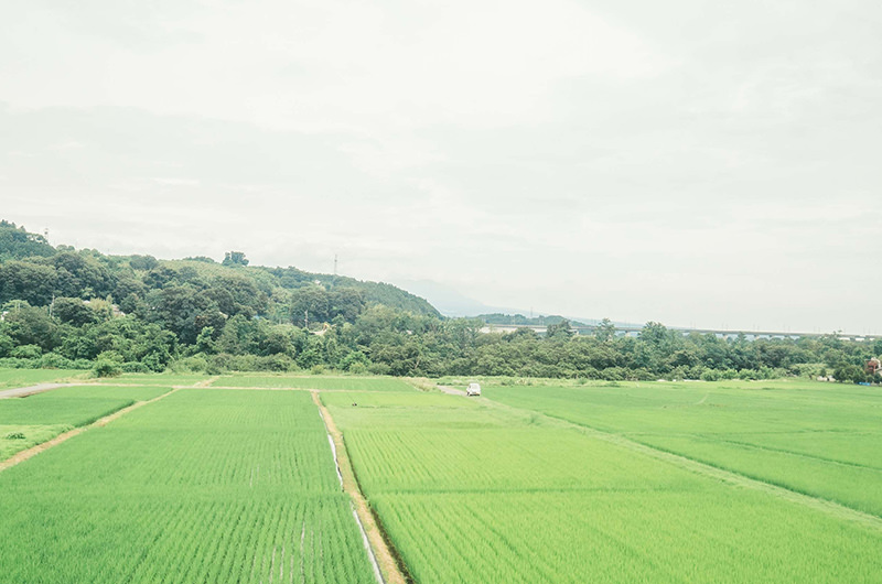 JR小野上駅付近の車窓