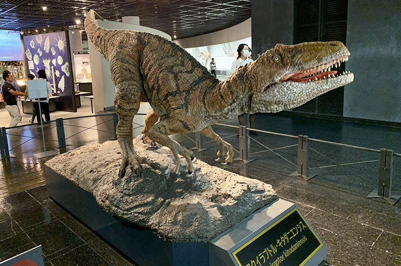 フクイラプトル