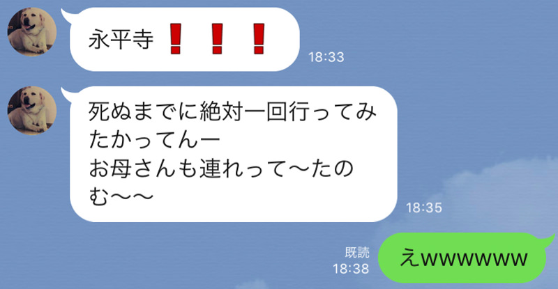 母から返ってきたLINE