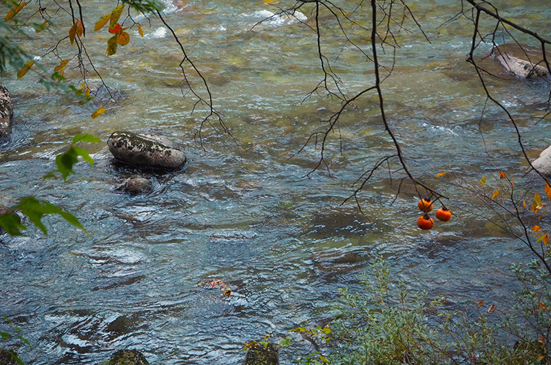 利根川のせせらぎ