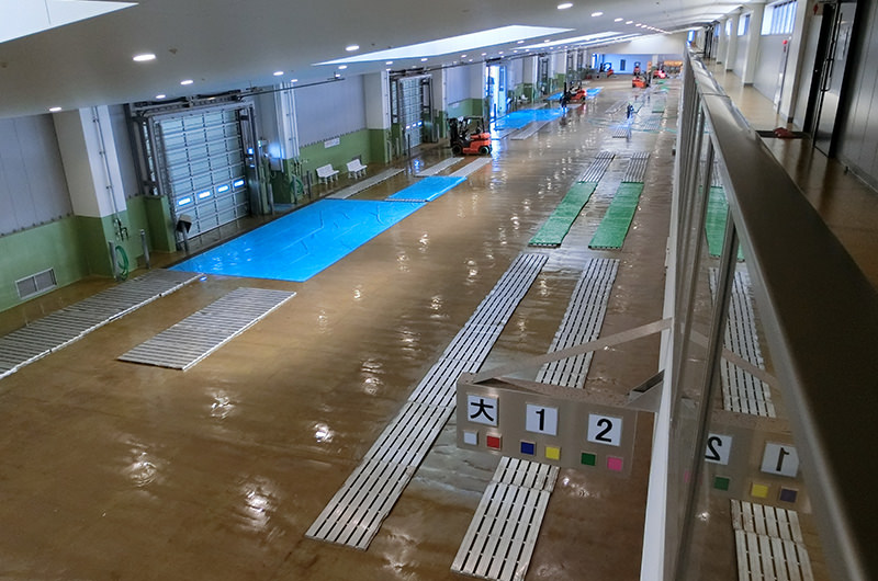 銚子漁港第1卸売市場