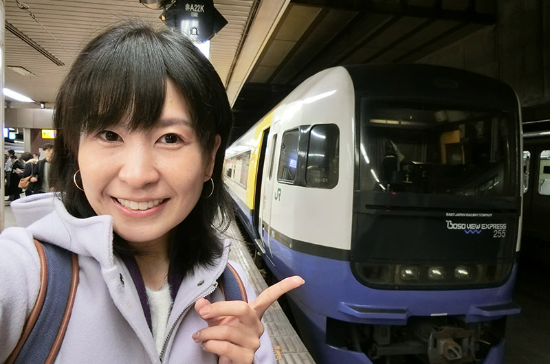 房総特急列車しおさい