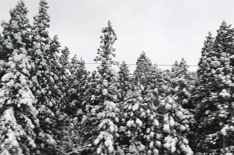 米沢駅から福島駅のあたり　車窓