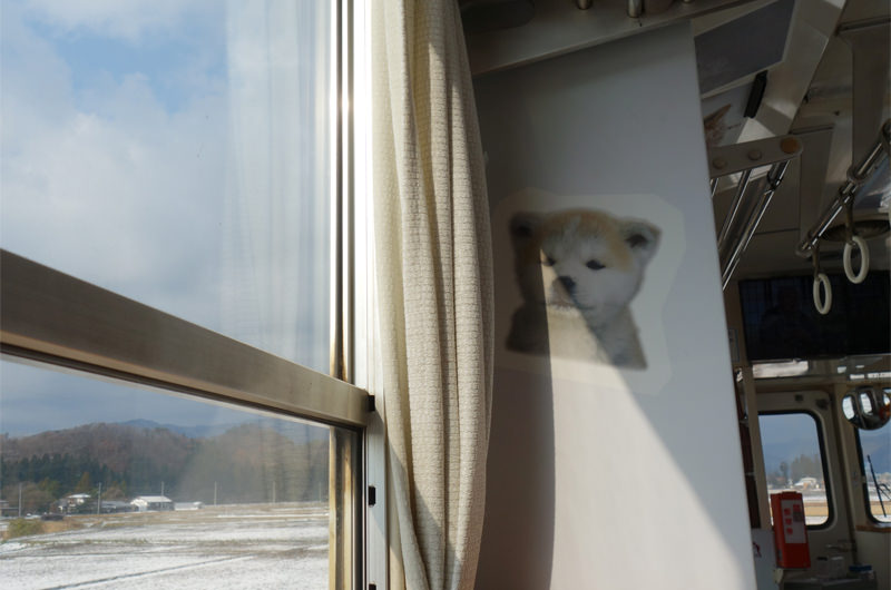 秋田犬っこ列車