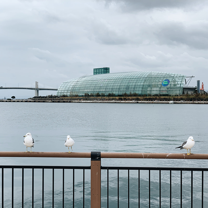 アクアマリンふくしま