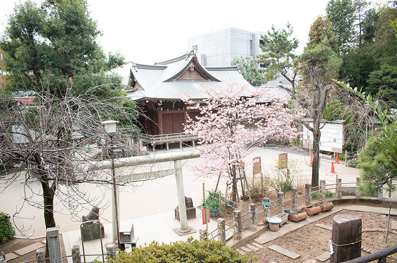 富士塚の頂上からの眺め